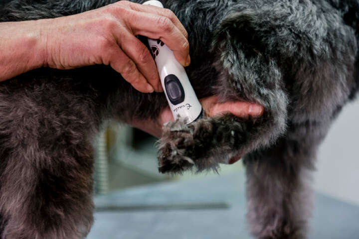 AESCULAP Akkutrimmer Exacta